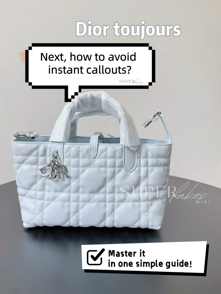 Beyond the Low-Tier Fakes: 4 Traps Rushed Factories Miss on the Dior Toujours
